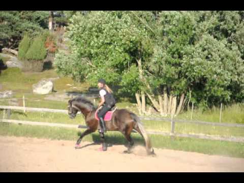 Jackson för Fredrik Spetz