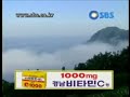 2001년 SBS ID