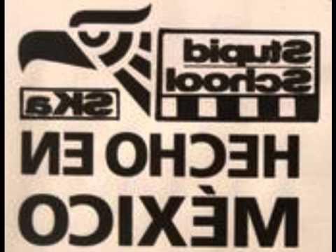 la stupid school - Intro