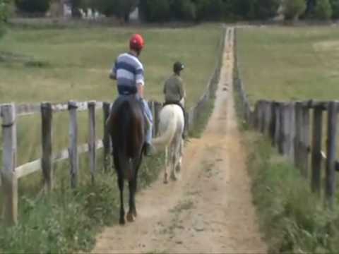 Liver Dancer & Beau Livero - WATHBA STUD FARM.wmv
