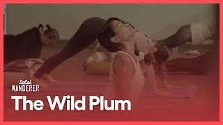 The Wild Plum | SoCal Wanderer | Season 2, Episode 2