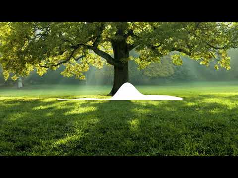 Mevlan Kurtishi - Fada Qalby (Lyric Video)