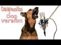 Despacito Song Dog Sound