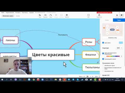 Рисуем интеллект карту в Xmind zen 2020! Подробный разбор базовых функций программы для умных карт