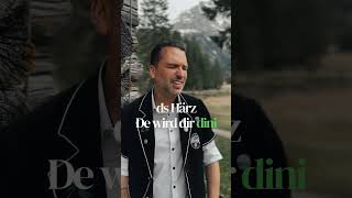 diräkt ine i ds Härz...⛰️❤️ #heimweh #heimwehmusig #schweiz #männerchor #vodebärgehär