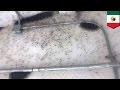 Video Gila Laba Laba Memenuhi Rumah Hujan Laba Laba Dalam Arti Sesungguhnya TomoNews