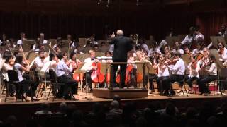 Tanglewood Music Center Orchestra - Stravinsky Petrushka