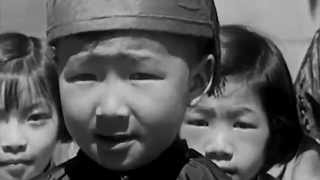 King of the Yees: Chinatown | New Stages Festival Documentary