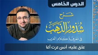 صورة الدرس الخامس من شرح شذور الذهب - أنس عزت آغا