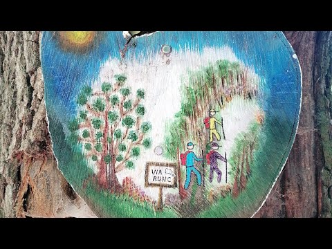 🌲🪵TRASEUL PENTRU COPIII MICI Și MARI  PRIN PĂDUREA RUNC BACĂU😊🌳🌲🪵🪺