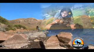 ELOY DE LOS ANDES 2011  amorcito amor mio (video oficial)