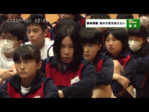 Tochiginishi Junior High School