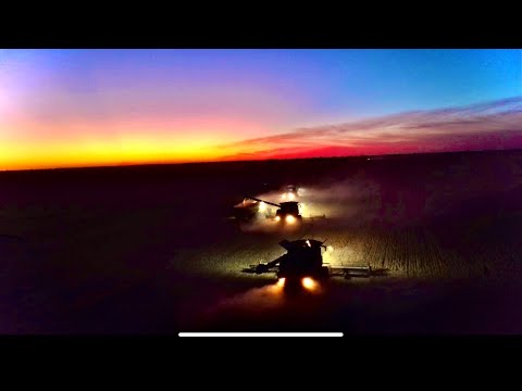 Harvest Australia 2020