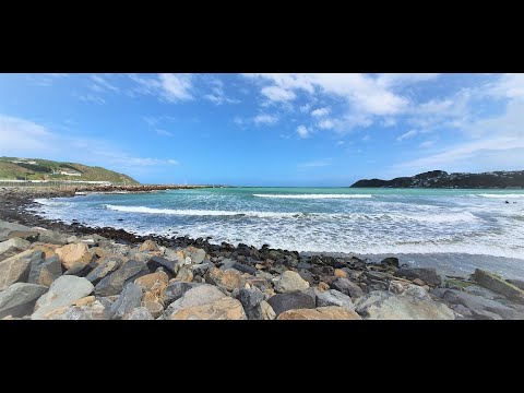 Breaker Bay, Wellington, New Zealand, 2019