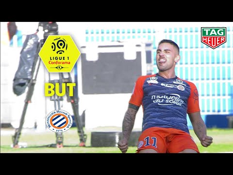 But Andy DELORT (45' +1) / Montpellier Hérault SC - Stade Rennais FC (2-2)  (MHSC-SRFC)/ 2018-19