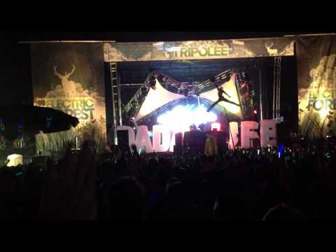 12th Planet drops Knife Party's Rage Valley at Electric Forest