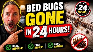Kill Bed Bugs in 24 Hours – Fast & Proven DIY Bed Bug Treatment