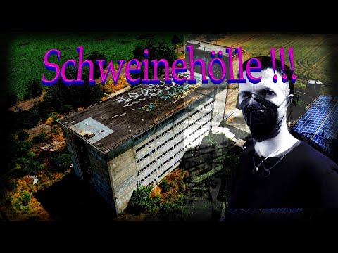 Das Schweinehochhaus der DDR.