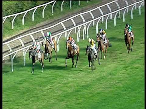 Galoppo 16/11/2019 - 4ª corsa