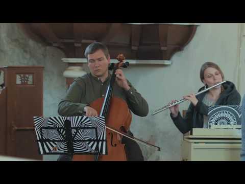 Jānis Lūsēns - Pink Black White /AIZ/