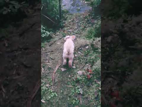 complejo turístico Virgen de la consolación provincia Bolívar Cantón San Miguel reciente las Guardia