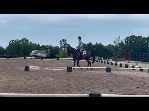 Transform_Champagne Run Mini Trial_BN Dressage