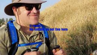 Day 19: Ledigos to Sahagun aka the Amazing Camino Dogs