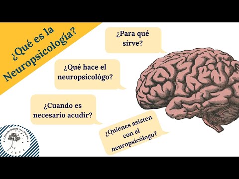 ¿SABES QUÉ ES LA #NEUROPSICOLOGÍA? TODO LO QUE TIENES QUE SABER