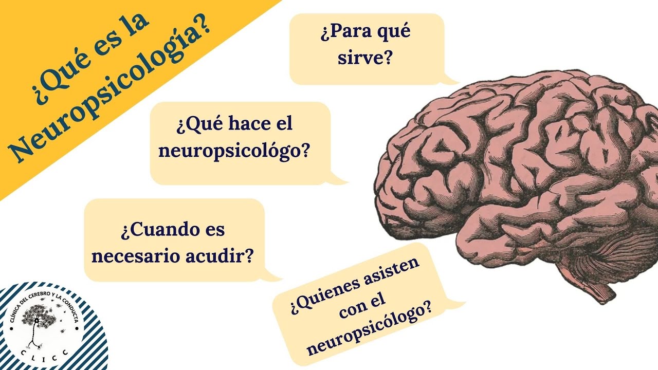 ¿SABES QUÉ ES LA #NEUROPSICOLOGÍA? TODO LO QUE TIENES QUE SABER