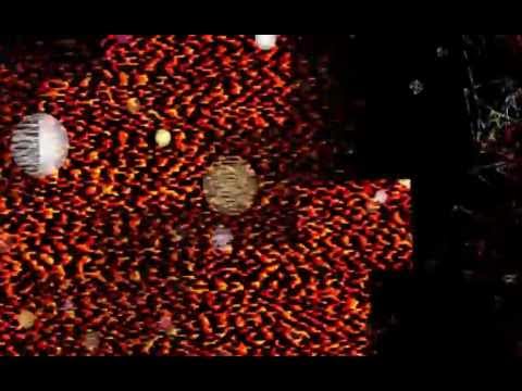 Nigel The Surf Rat- Dance 'til the music stops