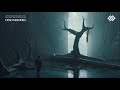 Songs For The Swamp