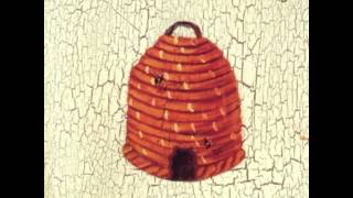 New Radiant Storm King - Barium Springs