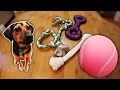 Buying My Dog Toys Way Too Big For Her