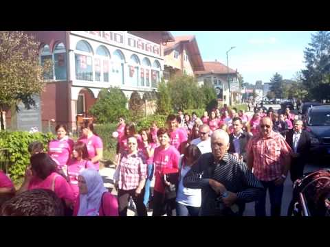 Roze oktobar, Kalesija 2016 - Nijemi Krik (www.NKP.ba)