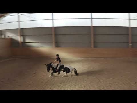 Mingla & Shani på RHC