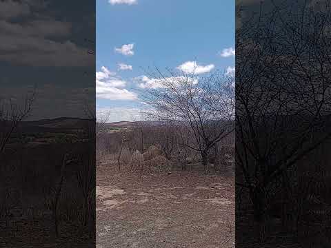 Santana dos garrotes -PB