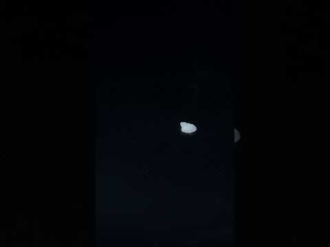 YouTube 썸네일