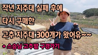 노지고추 지주대 왔어유~(작년 실패 후 다시 구매)