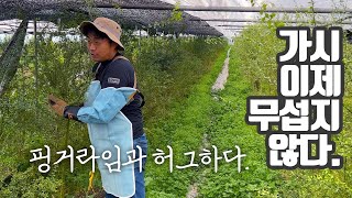 왜 이제야 샀을까...핑거라임 전지전정 가죽 풀세트 구매기 가죽장갑은 필수
