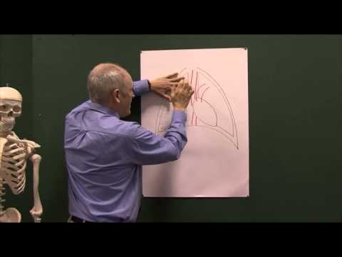 Trauma 5, Tension pneumothorax