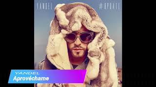 Aprovéchame - Yandel (MusicPro)