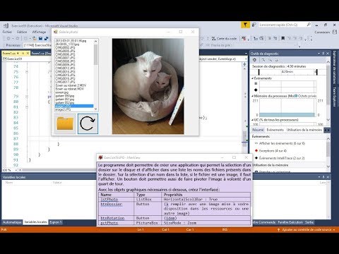 Bases de la programmation n°1 procédural premier exemple