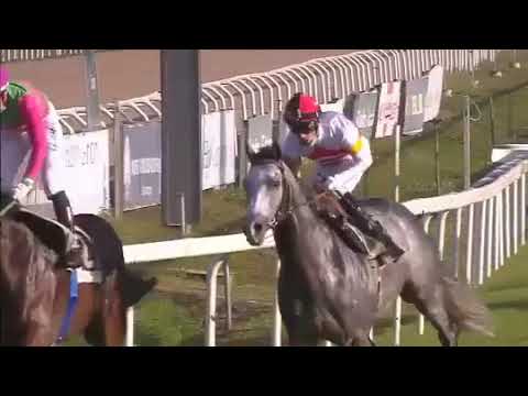 2020.11.08 Premio Roma (ITA) - Thunderman