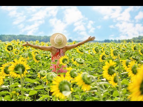 Zangviering - Tot rust komen