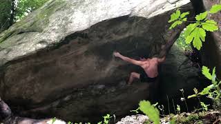 Video thumbnail of Le Toit du Gréau, 8a. Fontainebleau