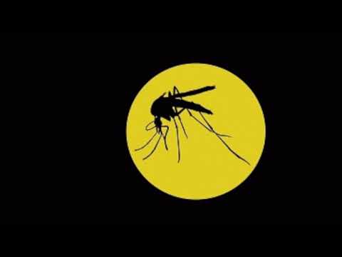 Acid Division - Acid Nights [LIVESET]