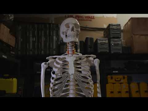 Dana Dolly Curved Track Test