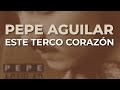 Pepe Aguilar - Este Terco Corazón (Audio Oficial)