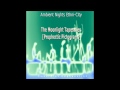 ETHNI-CITY - PART 6 - The Moonlights Tapestries ( Prophetic Pictograms ) - ambient-nights.org