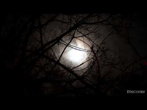 full moon#night#spooky#shortvideo#youtube#video